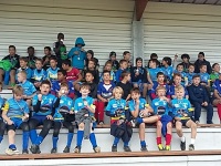 poussins récompenses