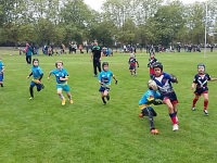 pupilles CRL vs SFRL