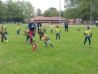 pupilles DRL vs RCR Mably x